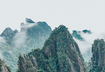 莽山旅游区国家森林公园第 79 张图片