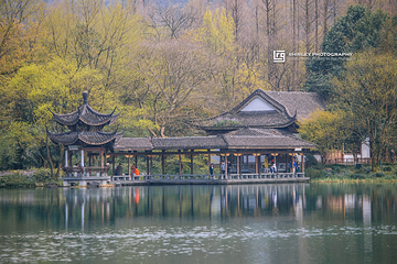 西湖风景名胜区第 458 张图片
