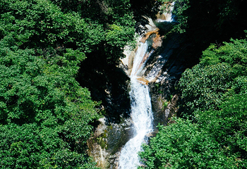 醉山野景区第 57 张图片