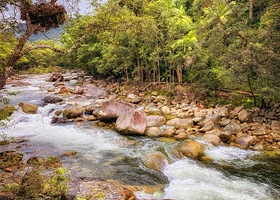 Daintree National Park