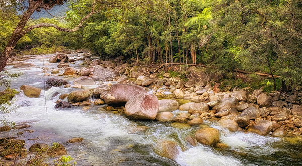 Daintree National Park