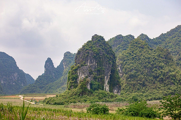 白头叶猴生态旅游区第 8 张图片