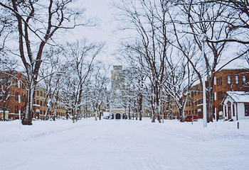 北海道大学第 17 张图片