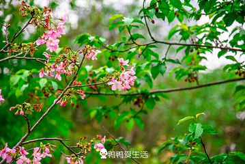 上李水库公园第 9 张图片