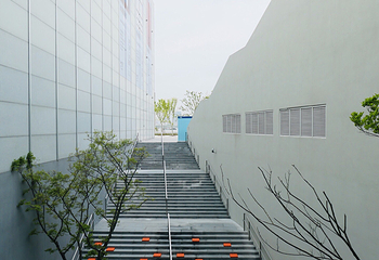 西岸美术馆第 17 张图片