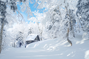 大雪山国立公园第 6 张图片