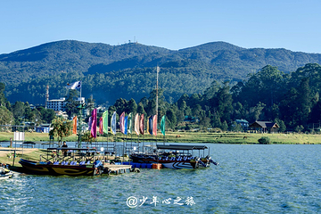 格雷戈里湖第 12 张图片