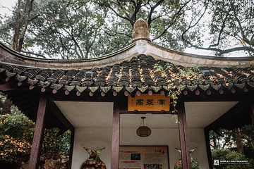 绮园景区第 49 张图片