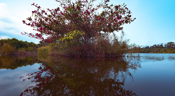 海南昌江海尾国家湿地公园