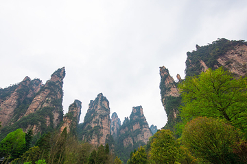 金鞭溪峡谷第 33 张图片
