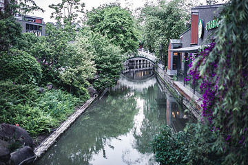 铁像寺水街第 8 张图片