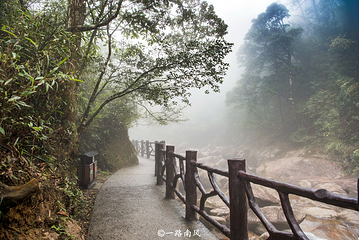 莽山旅游区国家森林公园第 54 张图片
