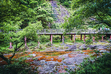 大龙湫景区第 10 张图片