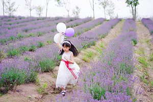 上海薰衣草公园