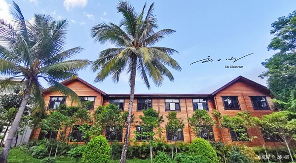 三亚抱龙国家森林公园