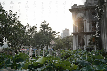 古德寺第 29 张图片