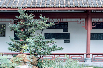 浣花溪公园第 10 张图片