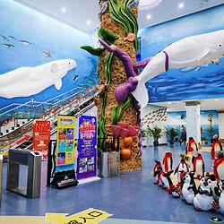 芜湖新华联大白鲸海洋公园