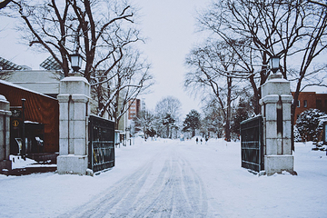 北海道大学第 18 张图片