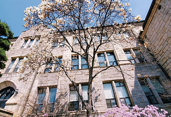 梨花女子大学第 48 张图片