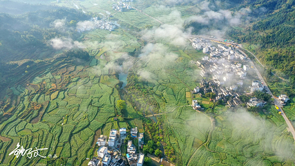 江岭景区第 73 张图片