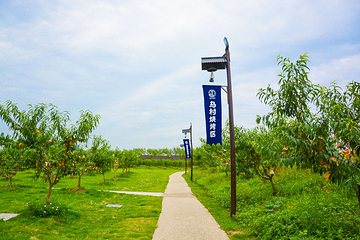 乌村第 35 张图片