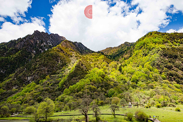 四姑娘山双桥沟景区第 47 张图片