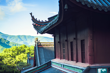 天童禅寺第 17 张图片