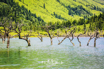 四姑娘山双桥沟景区第 24 张图片