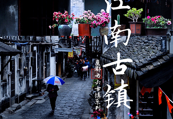 枫泾古镇第 46 张图片