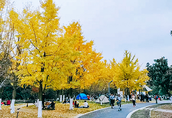 闵行体育公园第 3 张图片