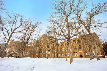 北海道大学第 8 张图片