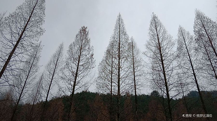 马家溪省级森林公园第 1 张图片