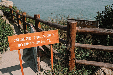杨梅坑第 36 张图片