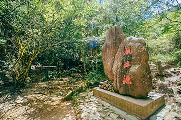 瓯江源风景区第 21 张图片