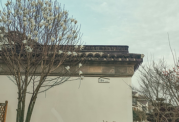 斜塘老街第 26 张图片