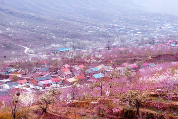 平邑九间棚旅游区第 4 张图片