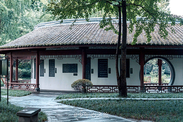 浣花溪公园第 9 张图片