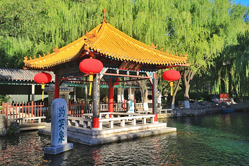 趵突泉景区第 31 张图片