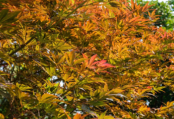 陆巷古村第 29 张图片