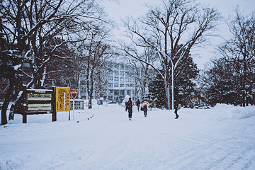北海道大学第 28 张图片