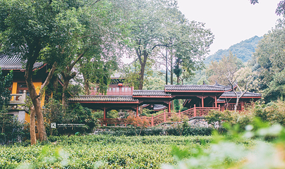 杭州永福寺第 21 张图片