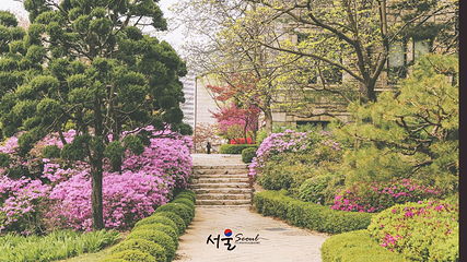 梨花女子大学第 37 张图片