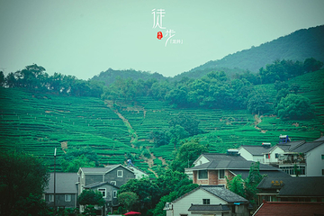 杨梅岭村第 11 张图片