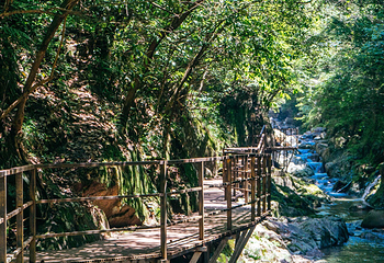 醉山野景区第 47 张图片
