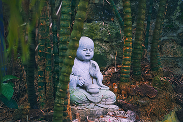 东山岭文化旅游区第 8 张图片