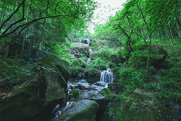 山沟沟景区第 4 张图片