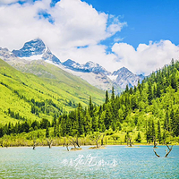 四姑娘山双桥沟景区