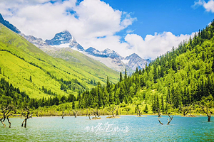 四姑娘山双桥沟景区