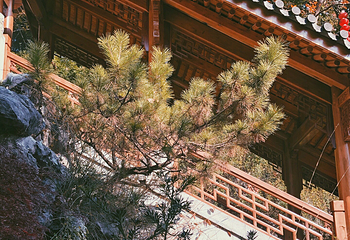 上天竺法喜讲寺第 53 张图片
